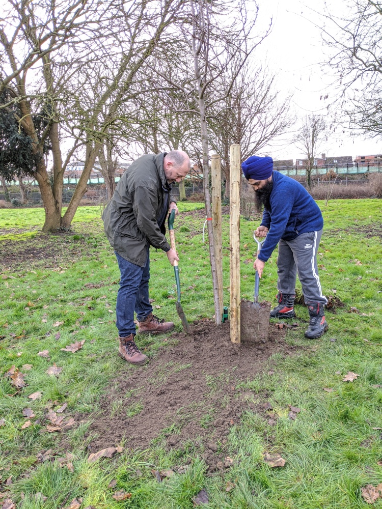 Tree planting Lampton Park, Hounslow