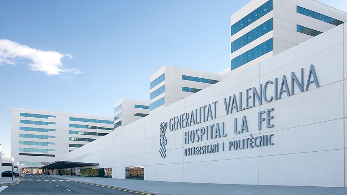 Una enfermera del hospital La Fe...